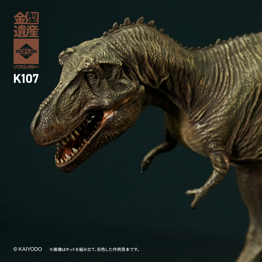 ティラノサウルス(タイプⅡ)完成見本品の写真です。